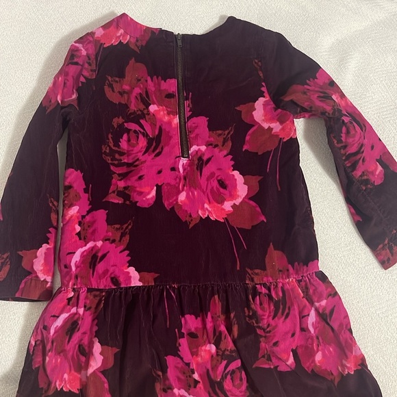 *SOLD*TODDLER GIRLS WINTER DRESS BUNDLE - Picture 4 of 11